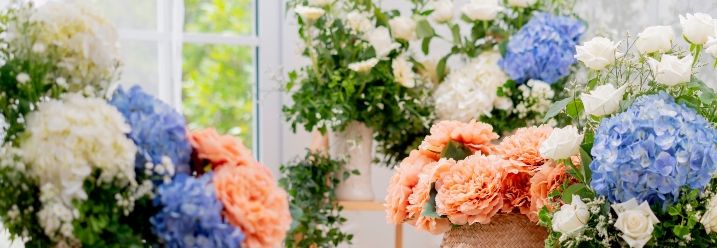 Hortensien als Schnittblumen in Vasen
