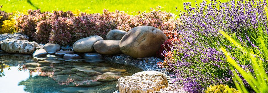 Teich im Garten mit Blumen und Steinen