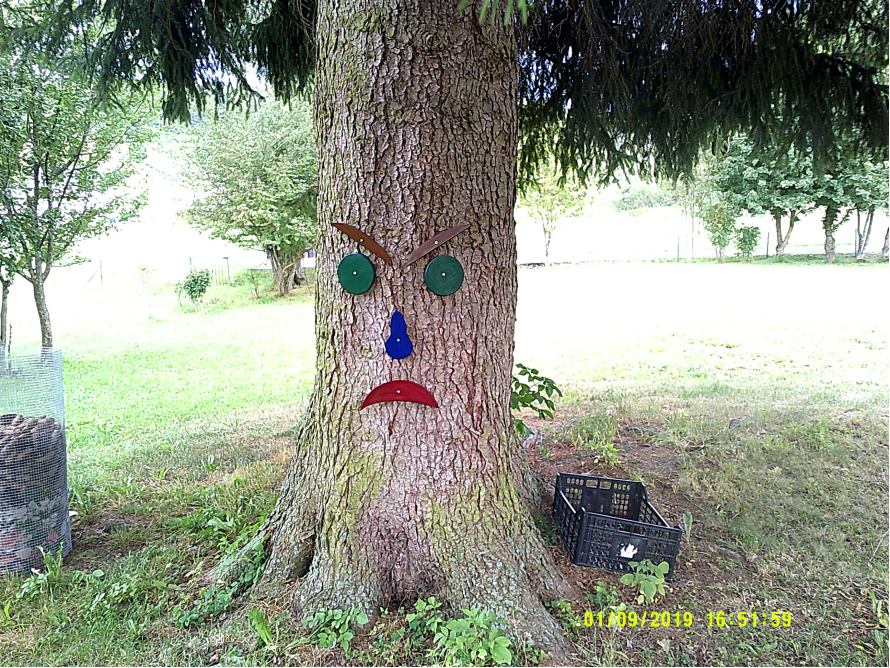 Bösches Gesicht auf Baum gemalt
