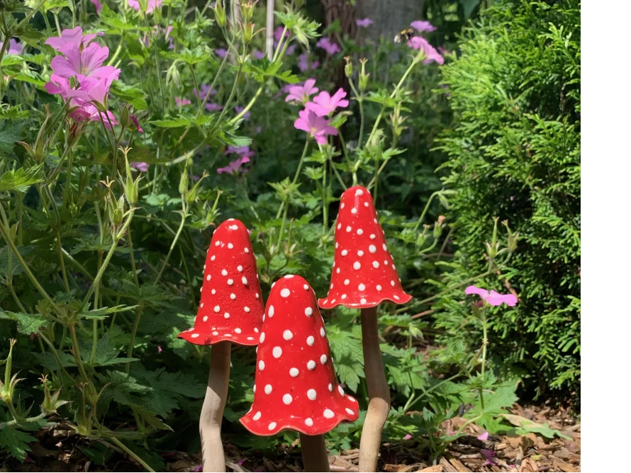 Drei rote Pilze mit weißen Punkten im Garten