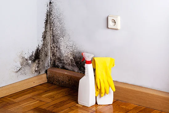 Schimmel in einer Zimmerecke, daneben stehen Reinigungsmittel