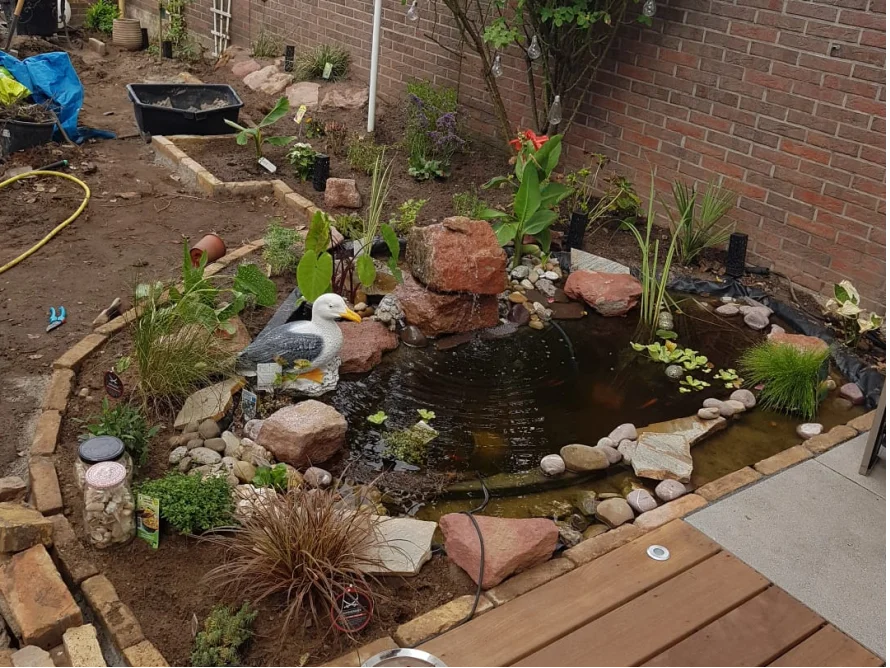 Neu angelegter Gartenteich mit Möwenfigur