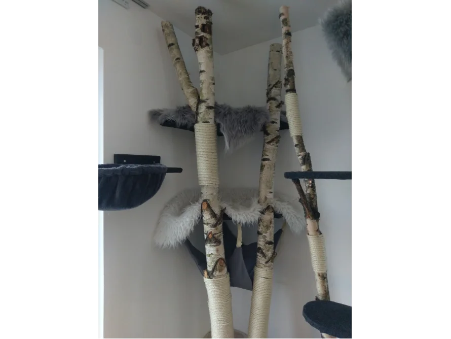 Natur-Kratzbaum Birke