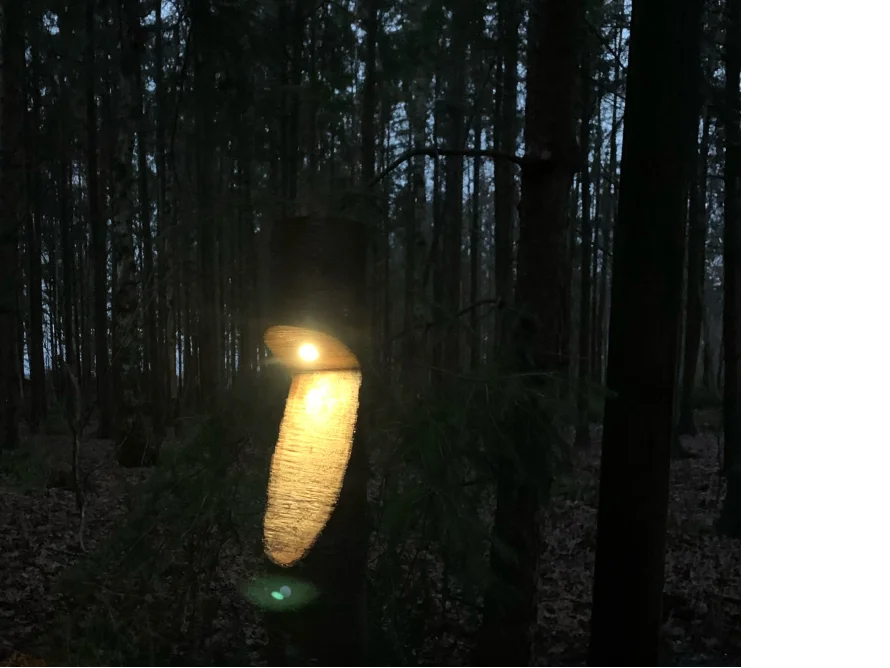 Leuchtende Baumleuchte im Wald