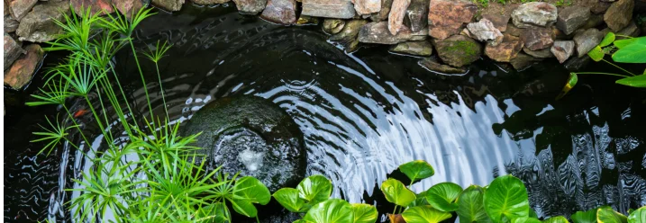 Teich mit Springbrunnen und Pflanzen
