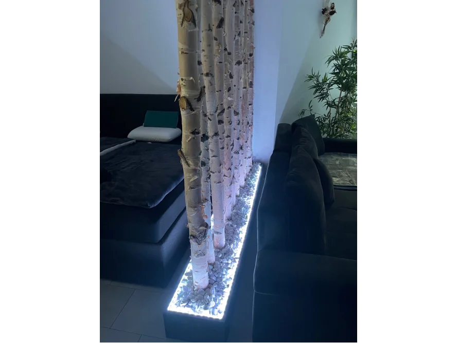Birkenstämme als Raumteiler mit Beleuchtung