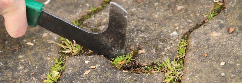 Hand entfernt Unkraut mit Fugenkratzer