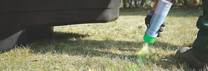 Person sprüht grüne Farbe auf Rasen