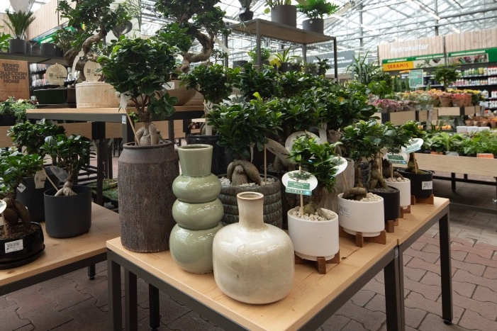toom Gartenwelt | Gartencenter mit Qualitt fr Balkon & Garten