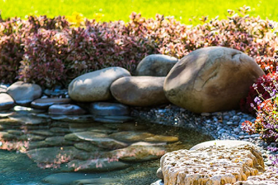 Teich mit Steinen und Pflanzen