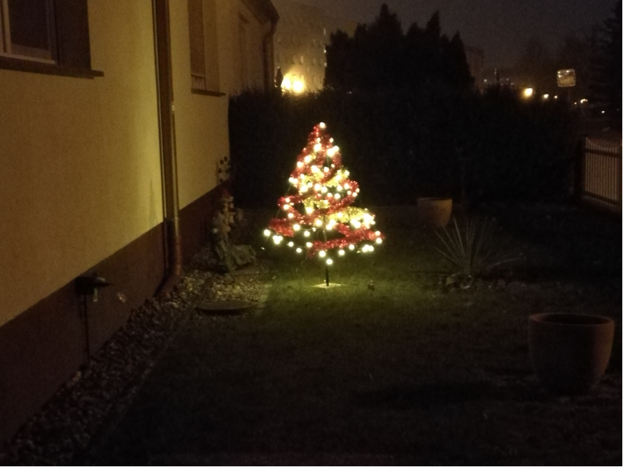 Small Christmas Tree