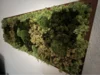 Wandbild aus Moos in einem Holzrahmen