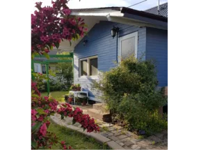 Blaues Gartenhaus mit Garten