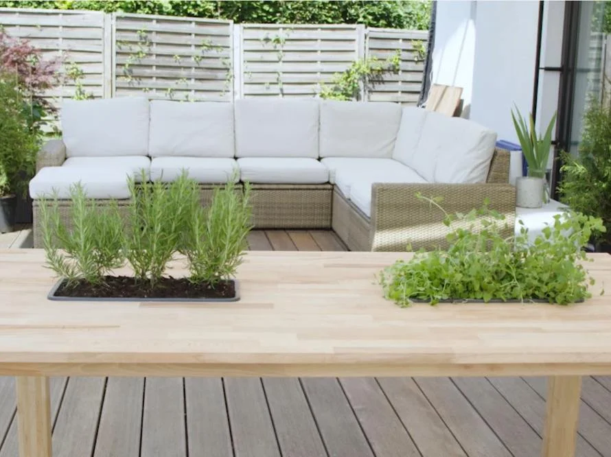 Holztisch mit Kräutern und Sofa