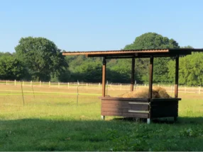 Heu unter einem Unterstand auf einer Koppel