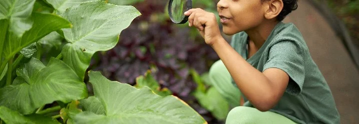 Kind betrachtet Pflanze mit Lupe