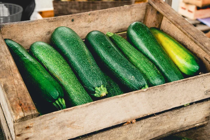 Grüne Zucchini in Holzkiste