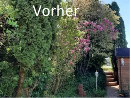 Überwucherter Garten mit Gartenhaus
