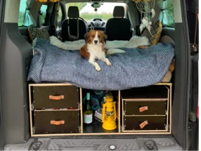 Ein Hund liegt auf einer Matratze im Kofferraum eines Autos