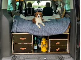 Ein Hund liegt auf einer Matratze im Kofferraum eines Autos