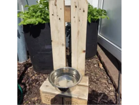 Erhöhter Hundenapf aus Holz