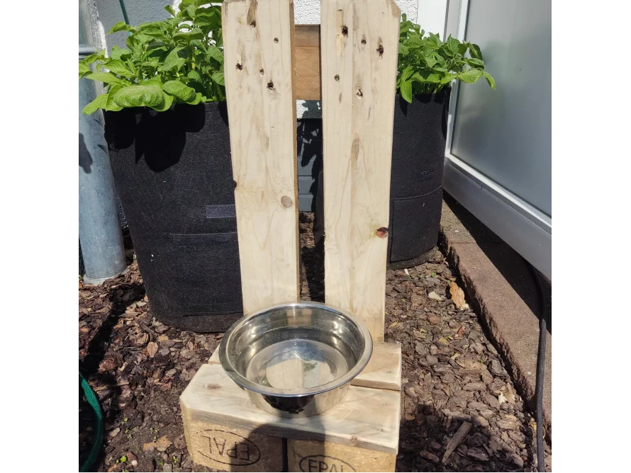 Erhöhter Hundenapf aus Holz