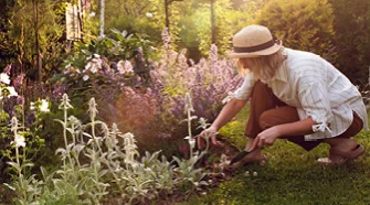 Person schneidet mit Gartenschere Pflanzen