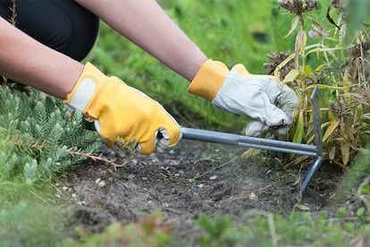 Person jätet Unkraut mit Hacke