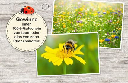 CT Insektenfreund Gewinnspiel 19 08 717x467 Insektenfreund Gewinnspiel