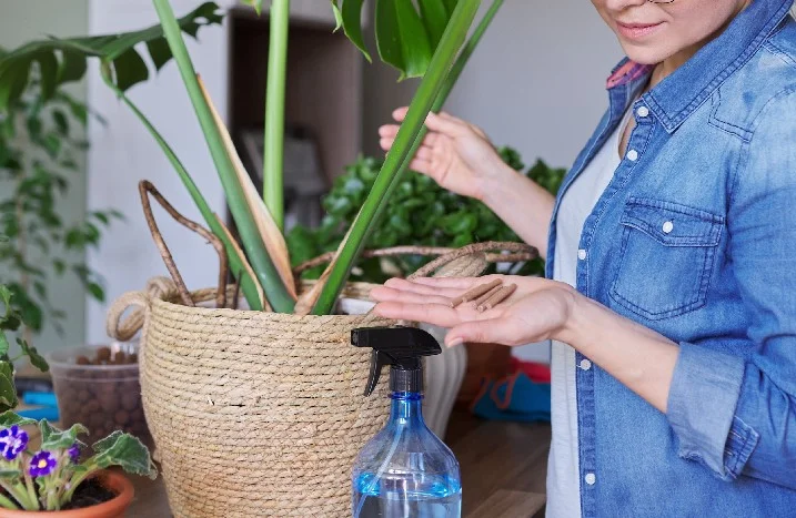 Person düngt Pflanze