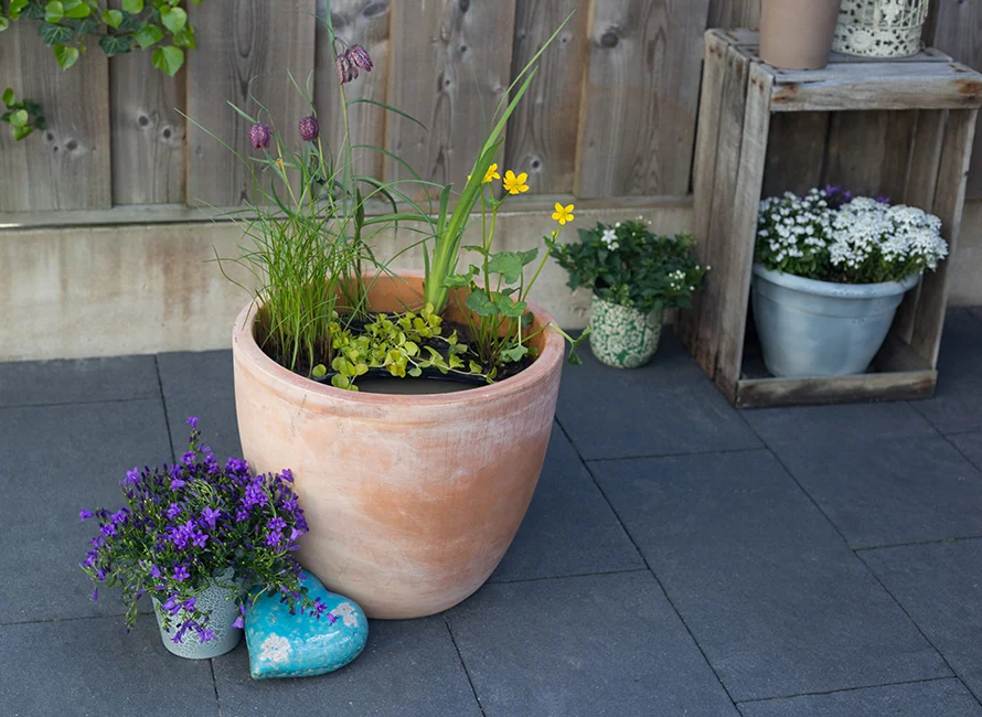 Blumentopf mit Miniteich