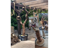 Bau eines Katzenkratzbaums aus Holz