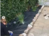 Person legt im Garten Unkrautvlies aus