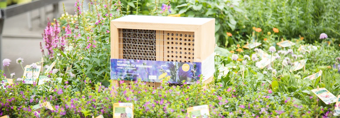 Insektenhotel steht inmitten von Gartenblumen