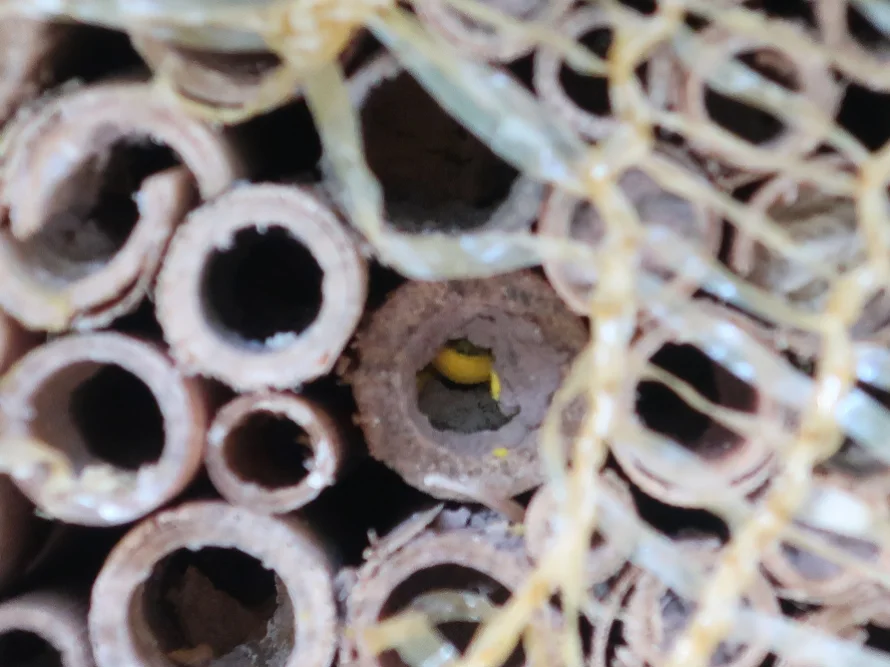 Insektenhotel Nahaufnahme