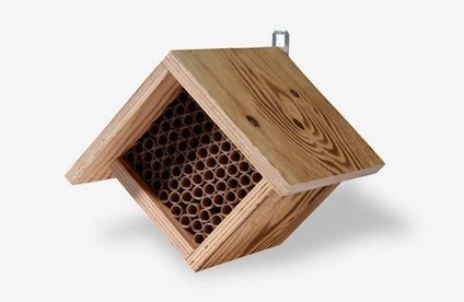 RT Ratgeber Bienen Nisthilfe 19 06 717x467 Nisthilfe