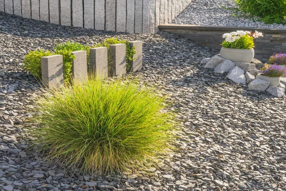 Ziergräser im Garten