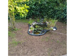 Kleiner Teich im Garten