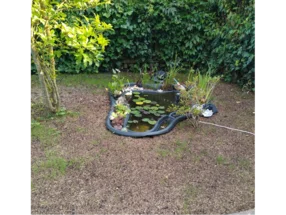 Kleiner Teich im Garten