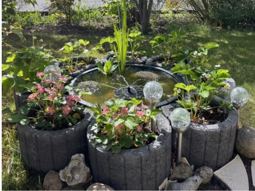 Gartenteich mit blühenden Pflanzen