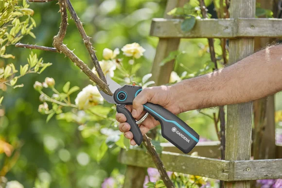 Person schneidet einen Ast mit einer Gartenschere