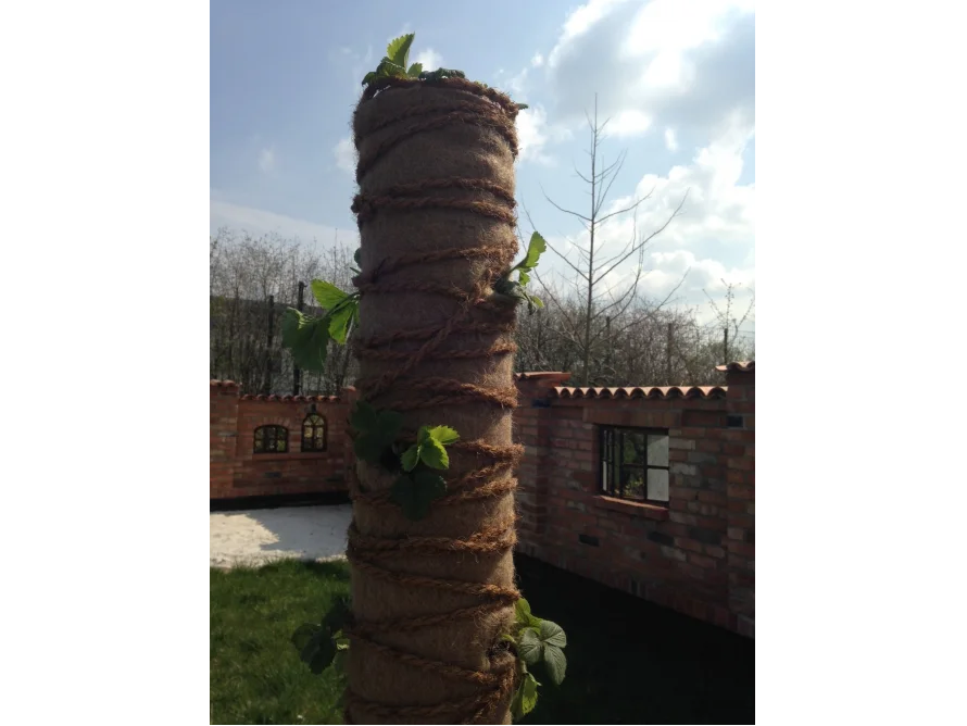 Erdbeerpflanze an einer Säule