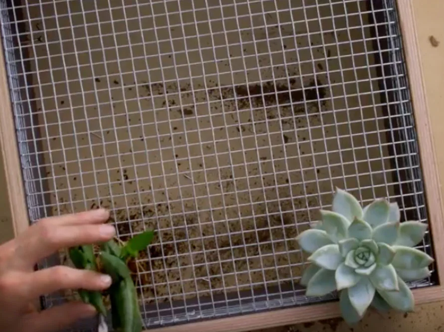 Drahtgeflecht wird an einem Holzrahmen befestigt