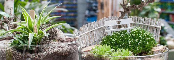 Zwei Miniaturgärten in Glasbehältern