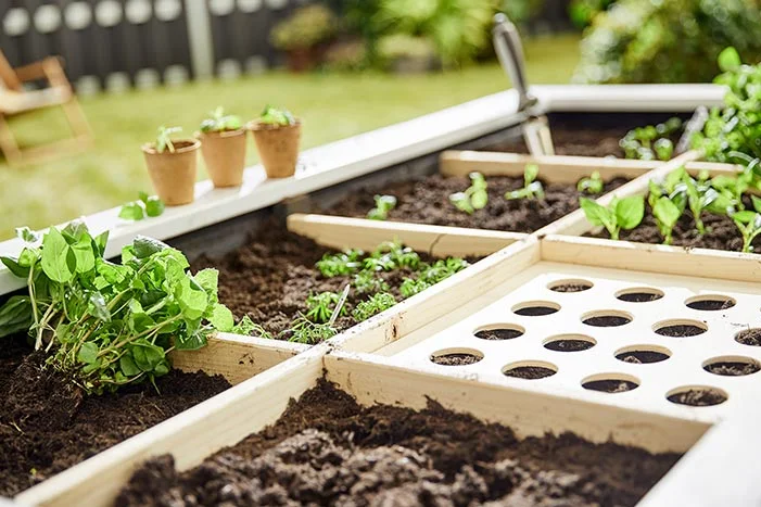 Hochbeet aus Holz mit verschiedenen Kräutern