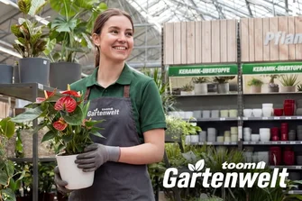 Eine lächelnde Person mit Schürze hält eine Pflanze mit roten Blüten.