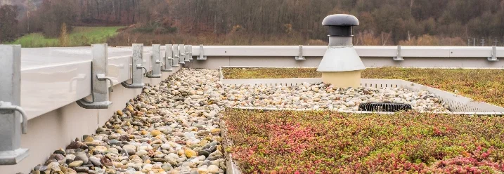 Gründach mit Kies und Pflanzen