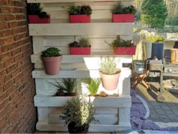 Vertikaler Garten mit mehreren Pflanzen