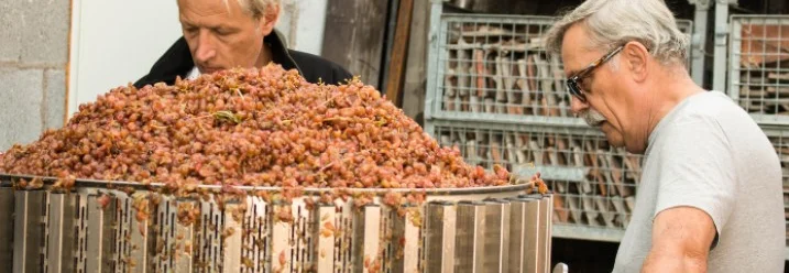 Zwei Personen mit Traubenpresse