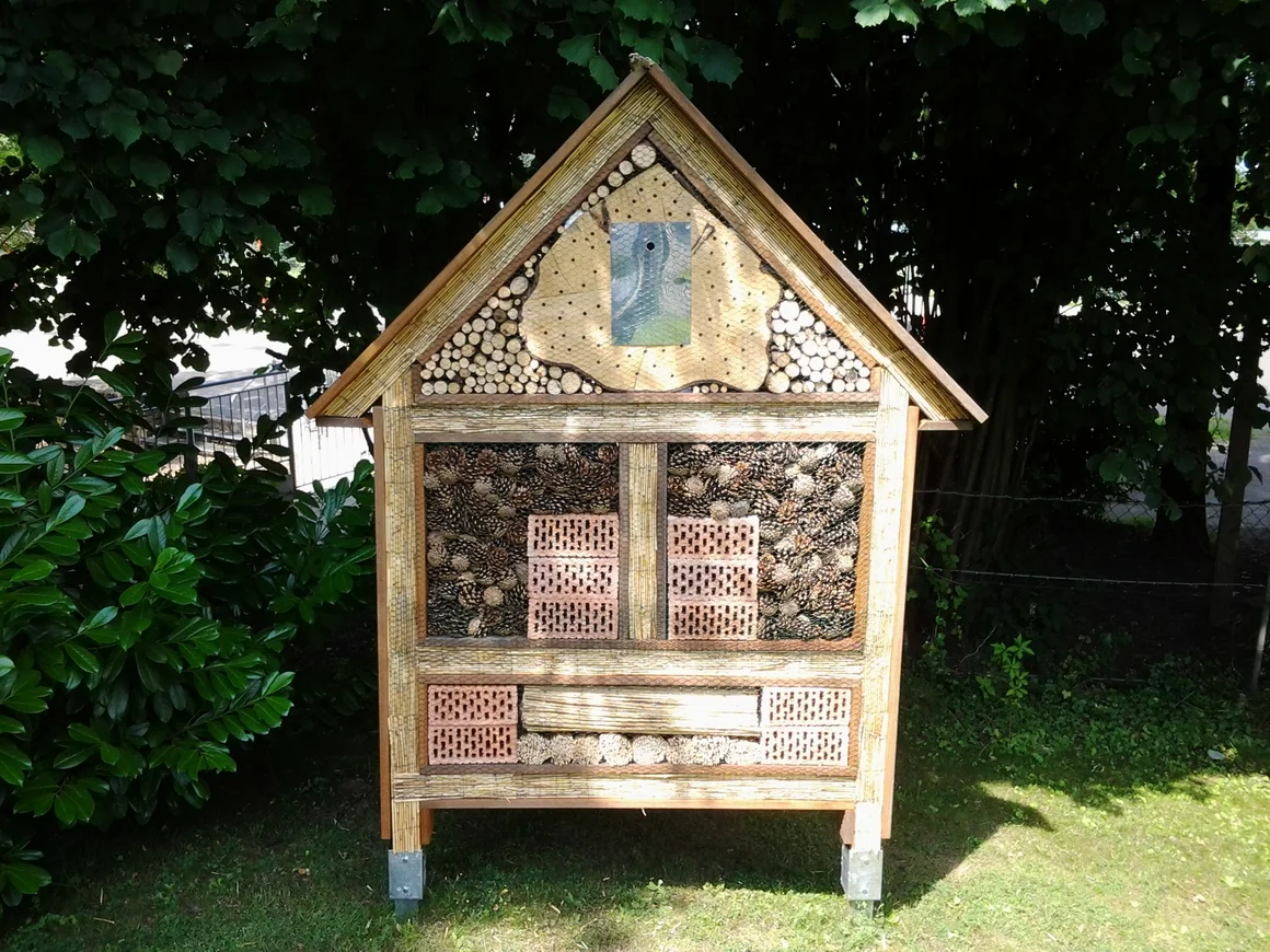 Insektenhotel XXL - Zum Beobachten und Lernen